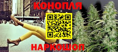 крисы Обь