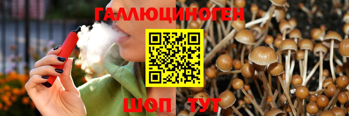 Белорецк  Псилоцибиновые грибы GOLDEN TEACHER  Вход с VPN 